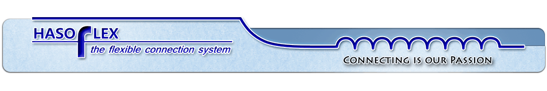 HASOFlex-Logo-Grafik